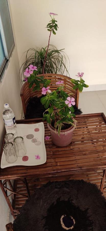 Untrained & Unplanned Apartment จาบัลปูร์ ภายนอก รูปภาพ